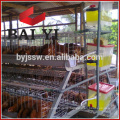 Battery Cages for Layers for Farms in Ghana